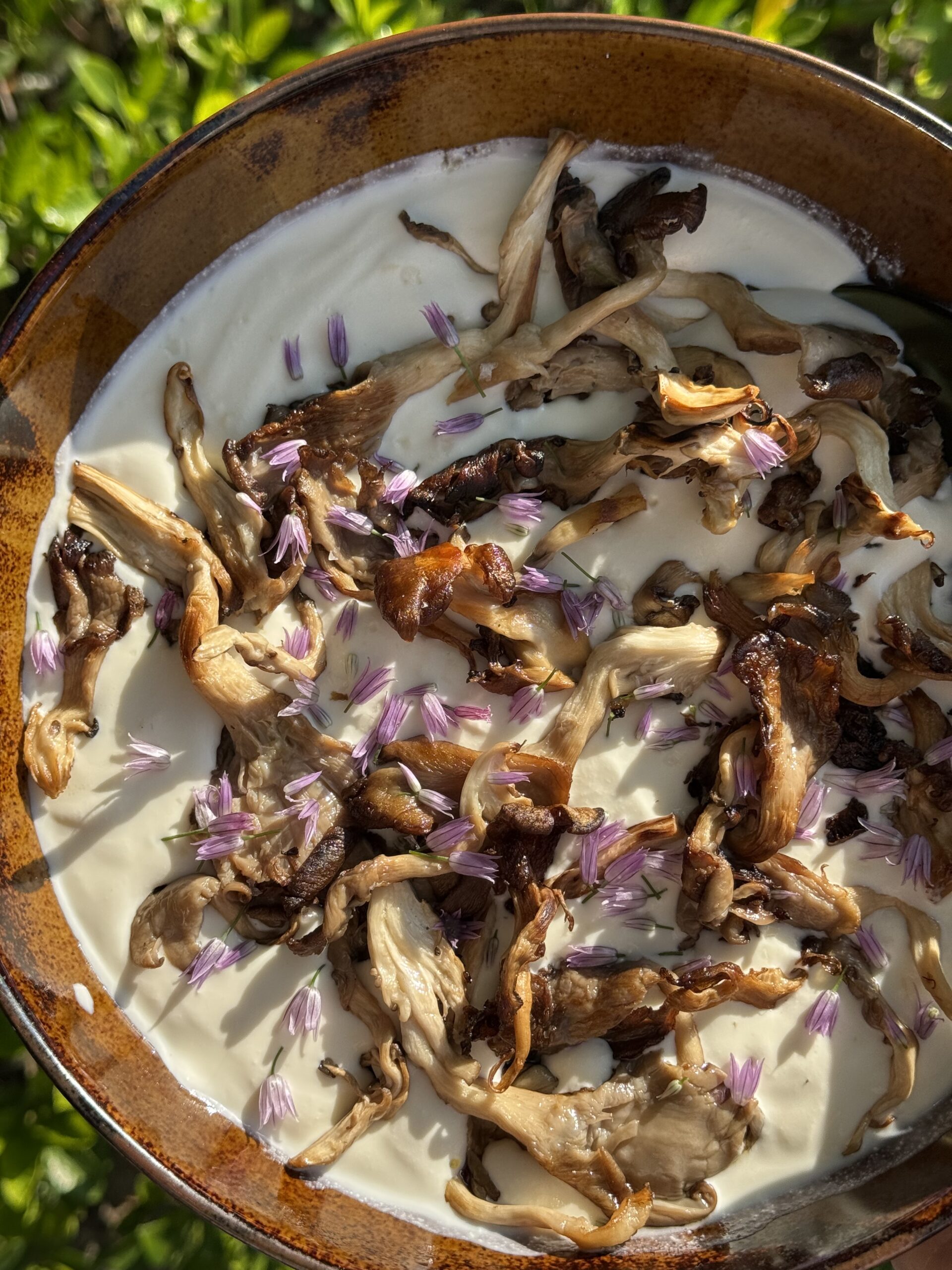 Whipped Lemon Ricotta with Charred Mushrooms