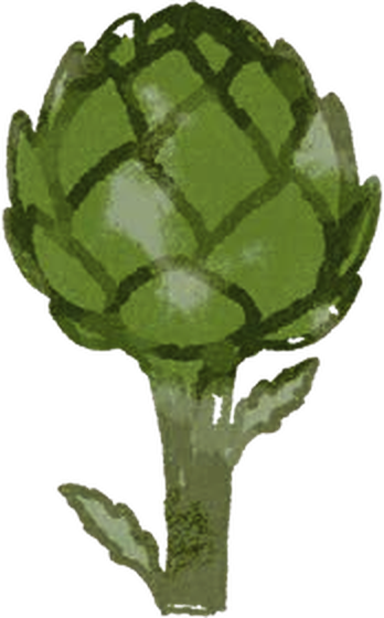 Artichoke illustration by Nick Perr