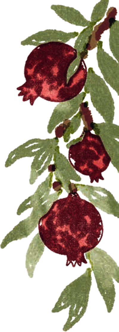 Pomegranate branch illustration by Nick Perr